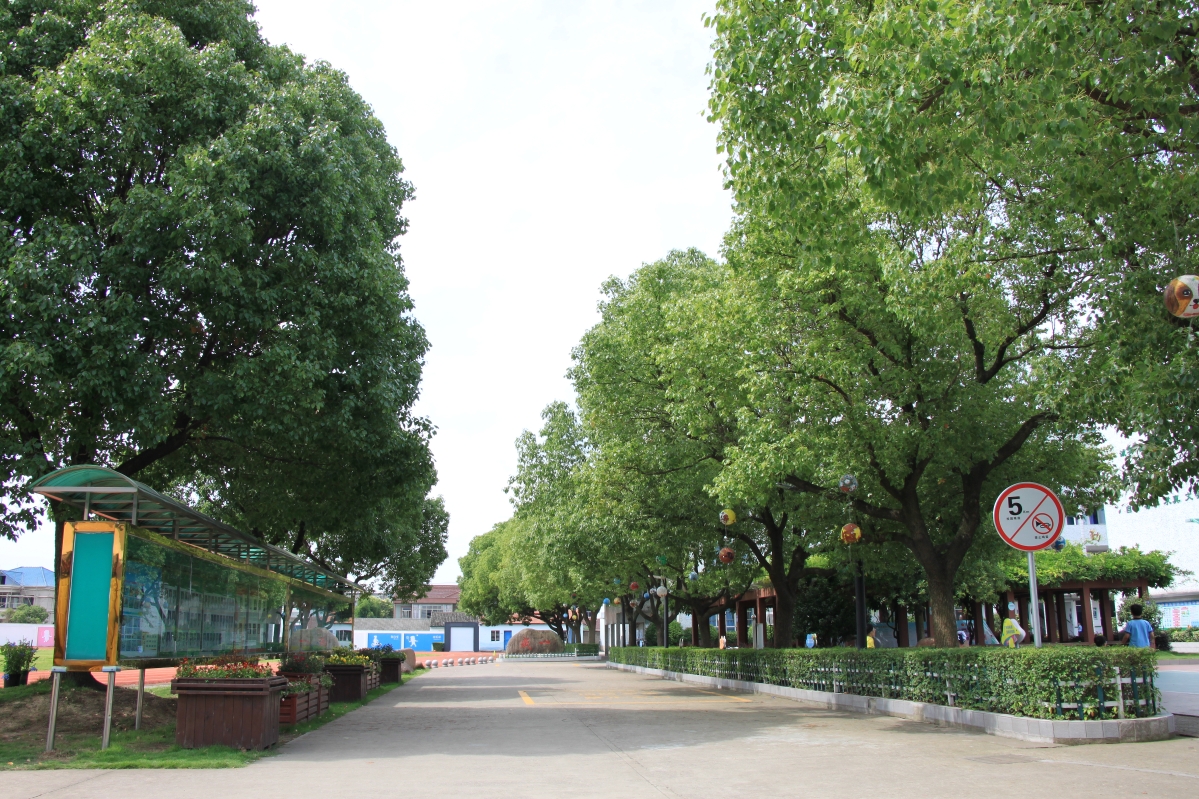 朗霞小學(xué)照片2.JPG